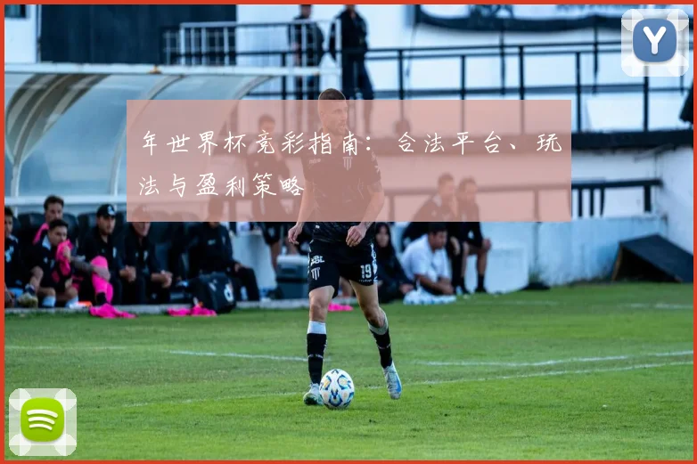 年世界杯竞彩指南：合法平台、玩法与盈利策略